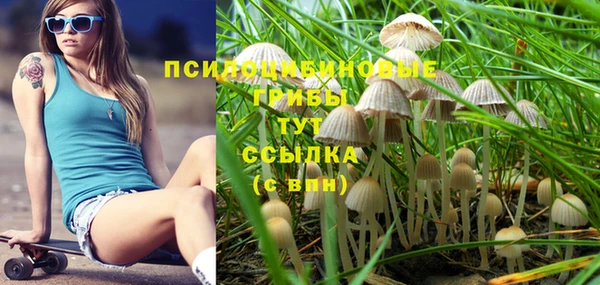 прущие грибы Абдулино
