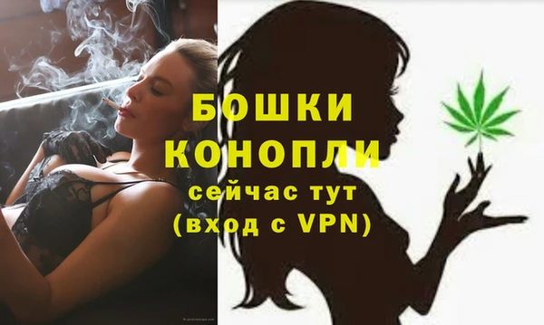 прущие грибы Абдулино