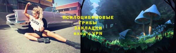 прущие грибы Абдулино