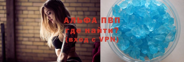 прущие грибы Абдулино