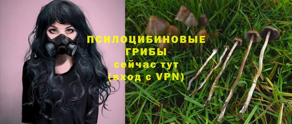 apvp Абаза