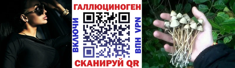 Псилоцибиновые грибы Cubensis  где найти наркотики  Энем 