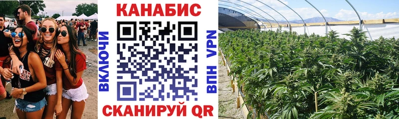 Канабис семена  Энем 